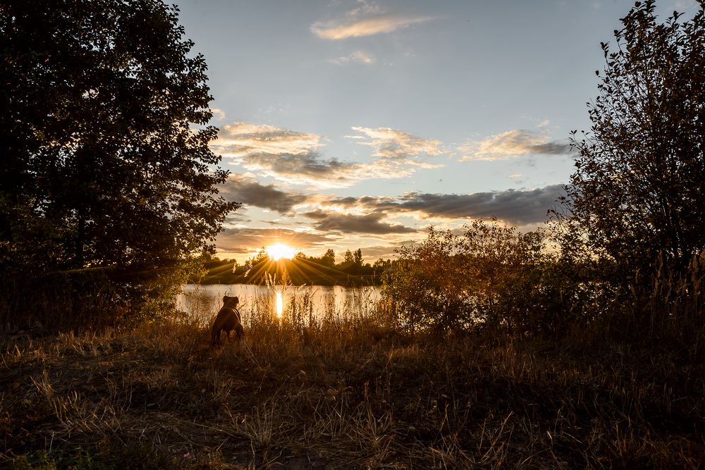 Ванильное небо.