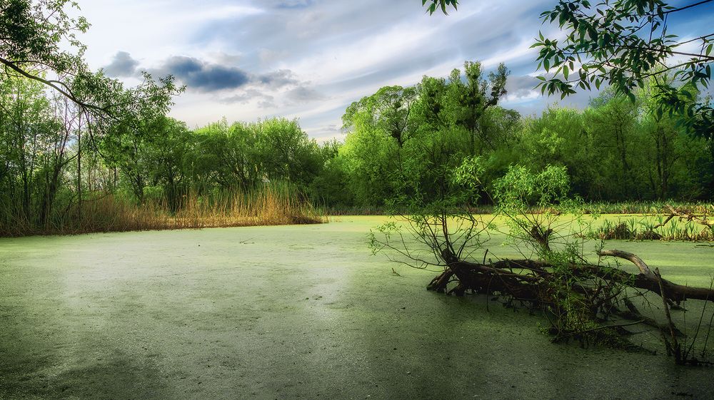 Photograph by Сергей Епишев