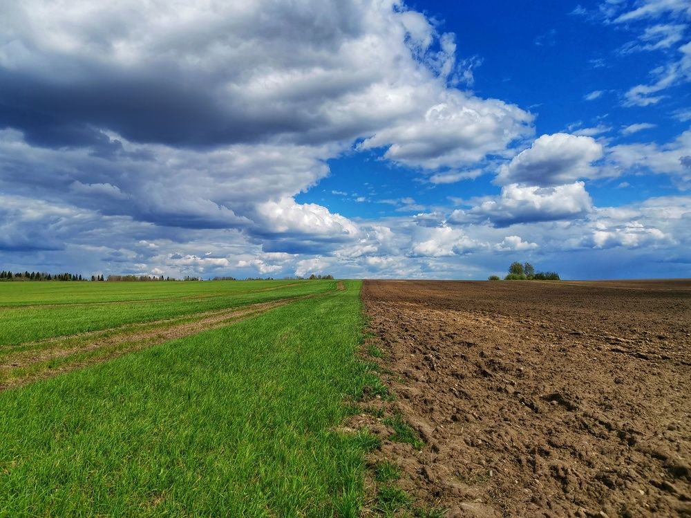 Фотография автора Андрей Шестаков