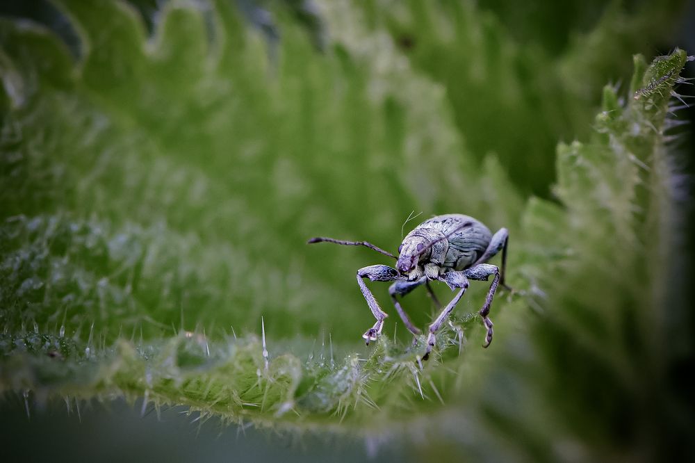 Photograph by Сергей