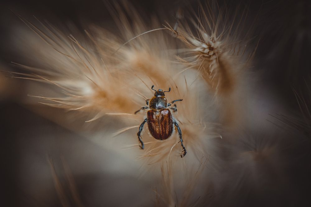 Photograph by Сергей