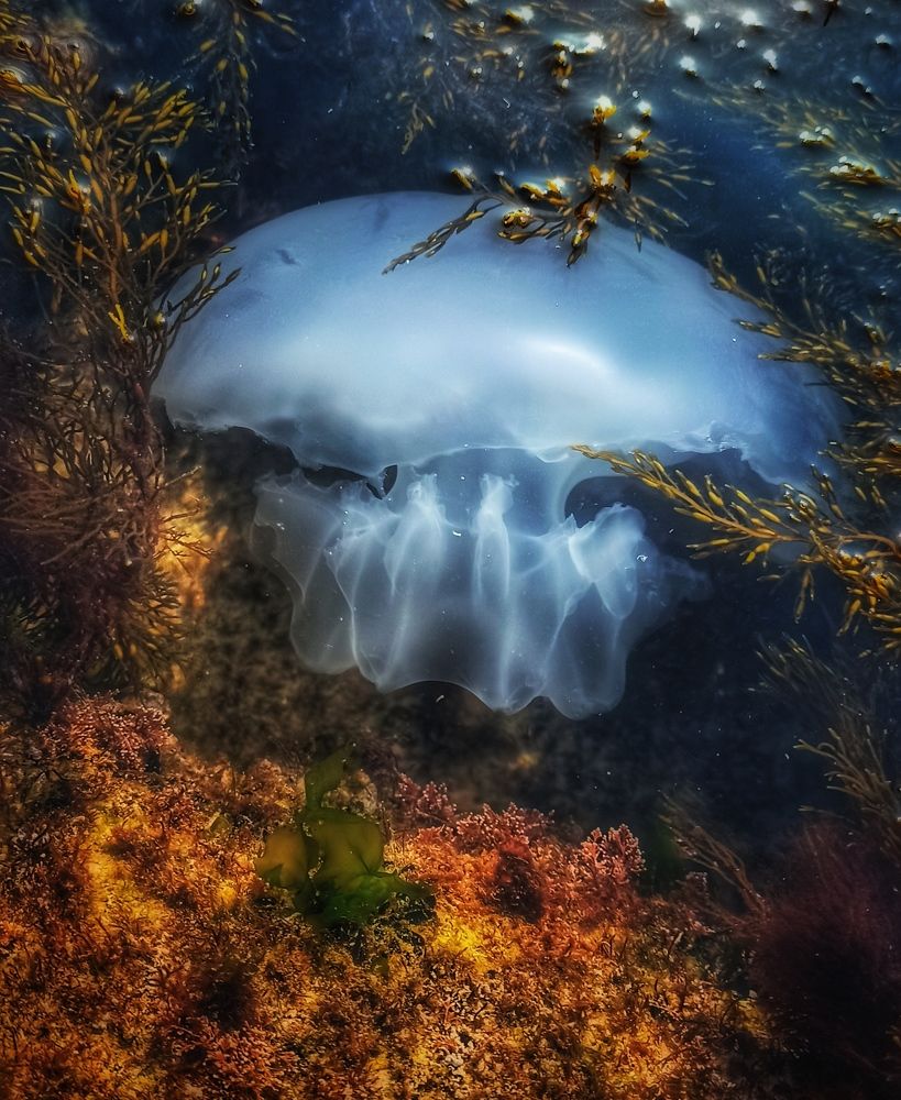 Photograph by Анна Молчанова