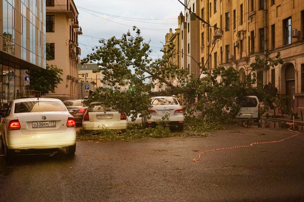 Photograph by Svetlana Guzeeva