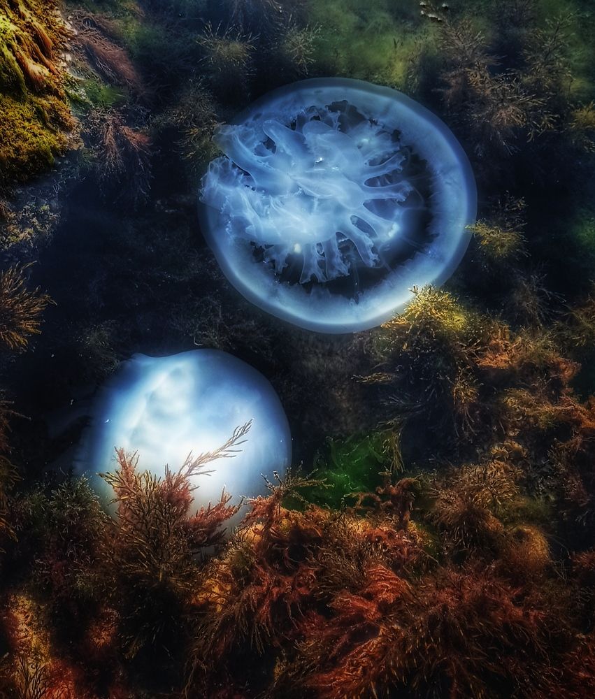 Photograph by Анна Валерьевна