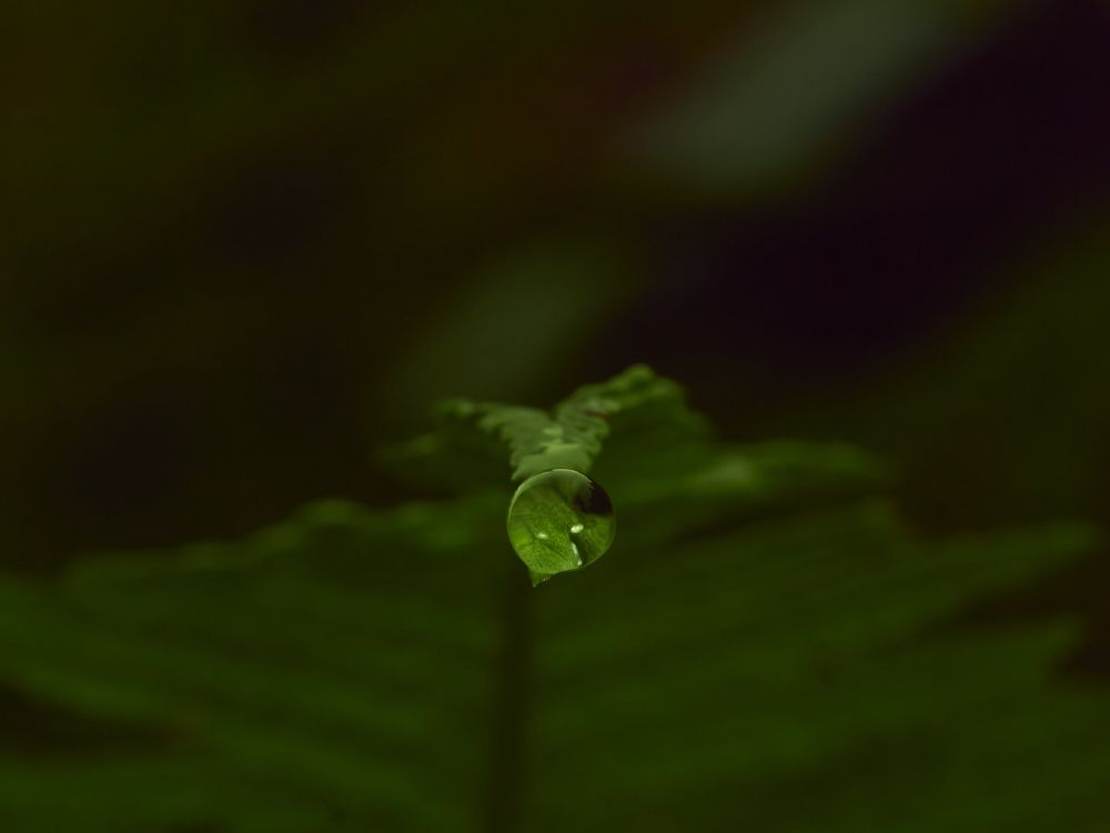 Photograph by Peter Hrubovsky