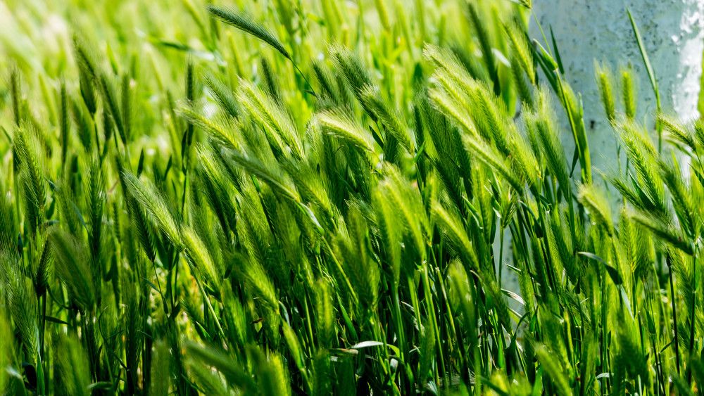 Photograph by Юрий Степанов