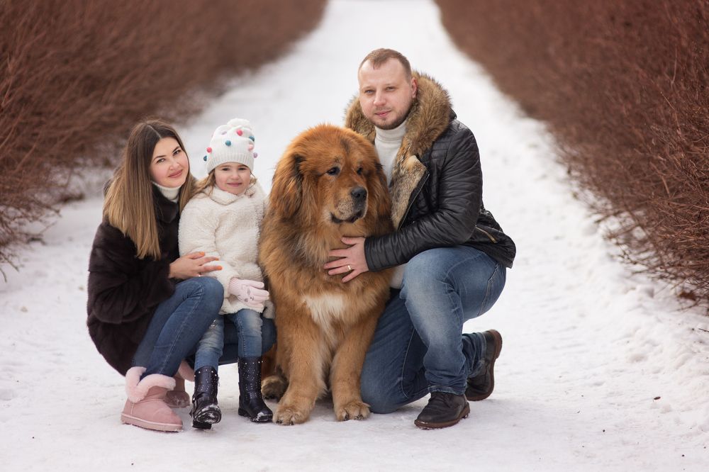 Photograph by Алена Федосова