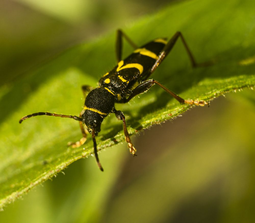 Photograph by Juris Bumanis