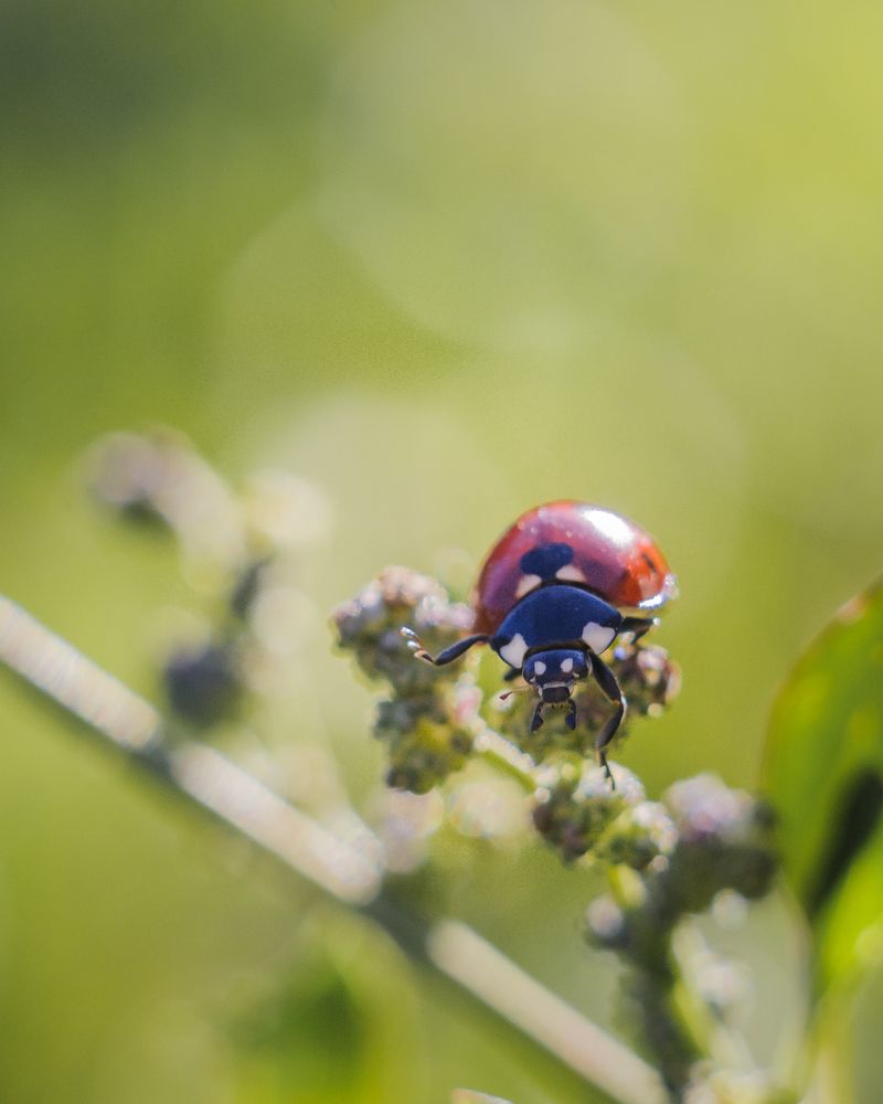 Photograph by Динара Зуйкова