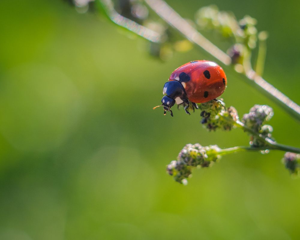 Photograph by Динара Зуйкова