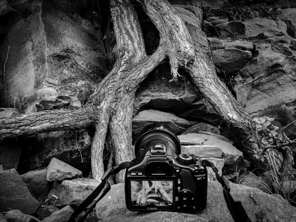 Photograph by Димитрий Осинцев