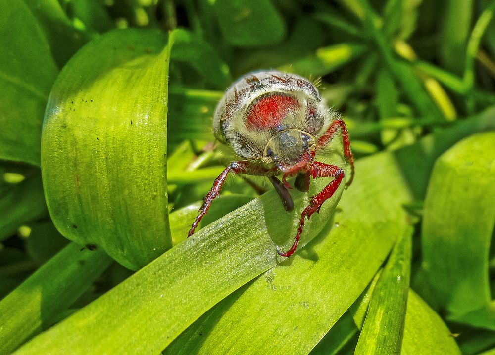 Photograph by Margarita