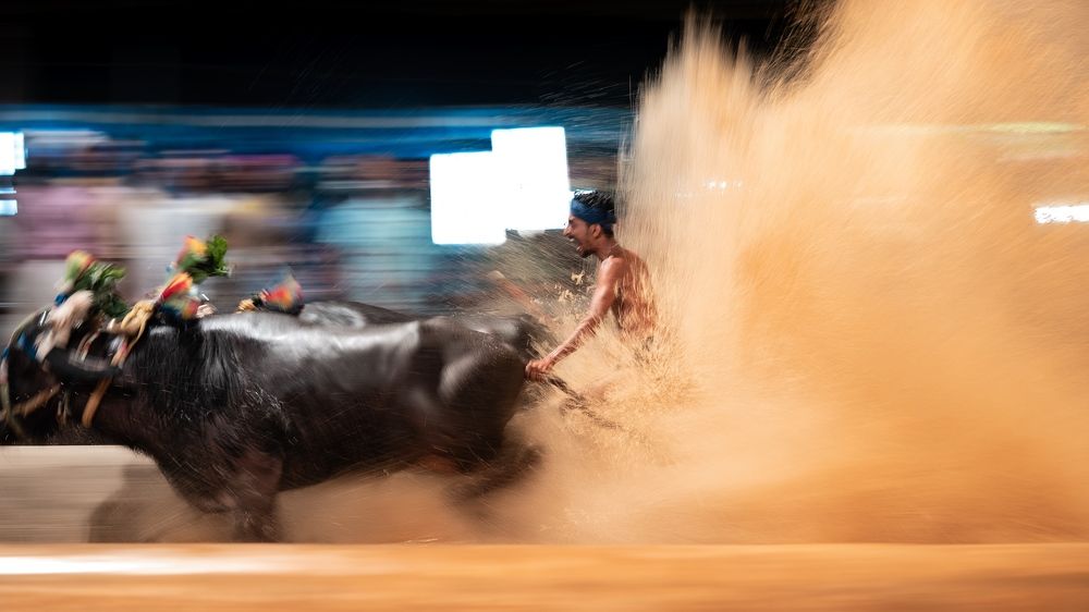 Photograph by Kamath