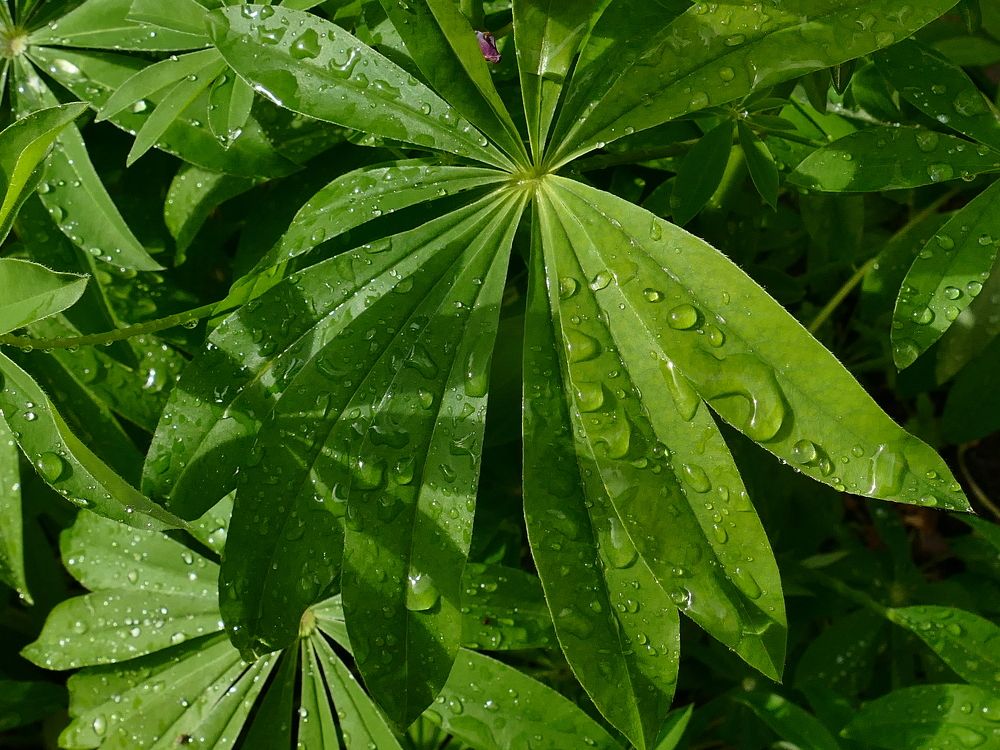 Photograph by Александр Кизим