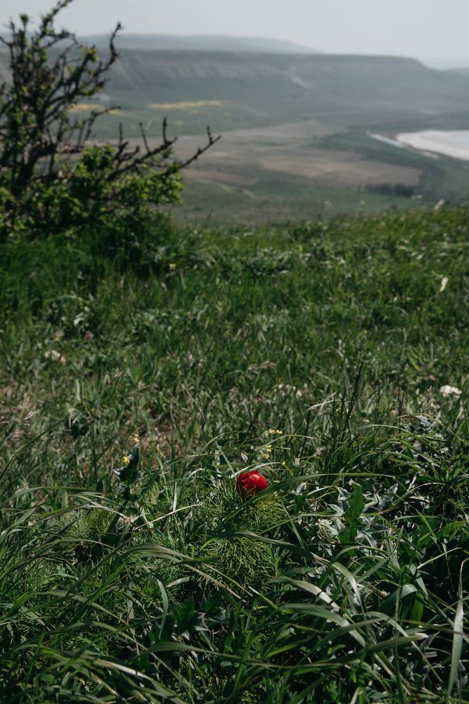 Photograph by Ольга Солодилова