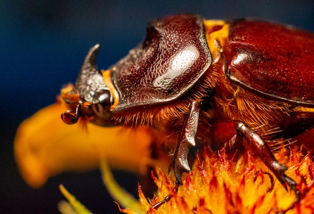 Photograph by Светлана Катанцева