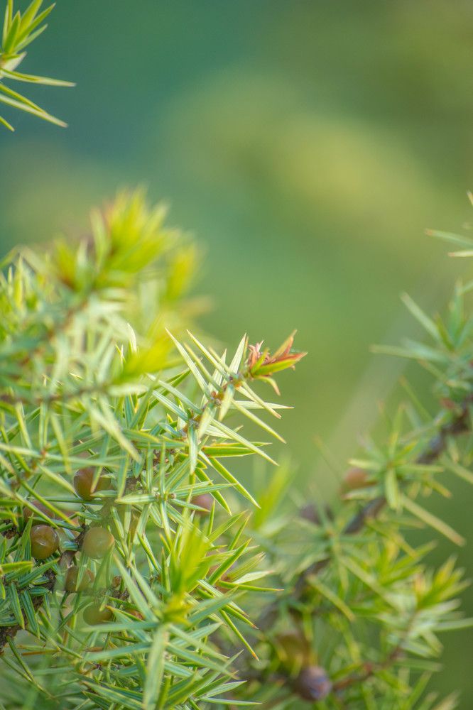 Photograph by Ольга Солодилова