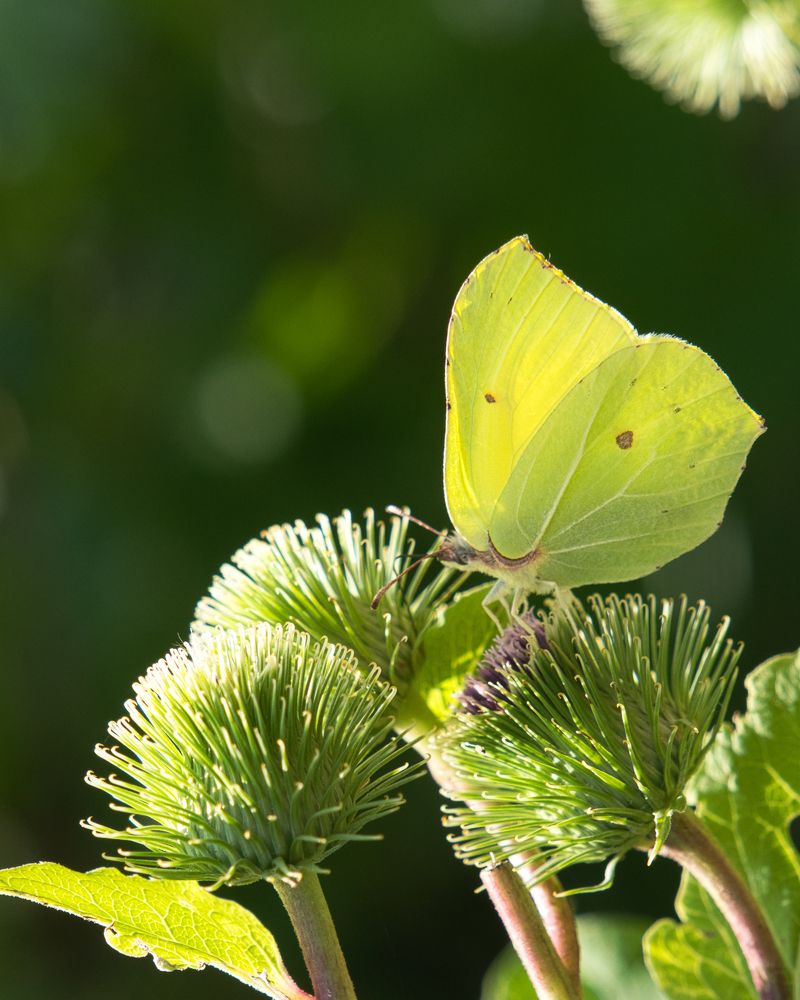 Photograph by Наталья Лабодина