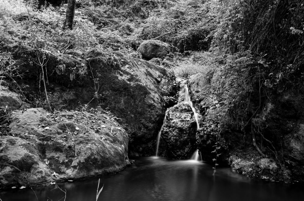 Photograph by Azizallah Abolghasemi