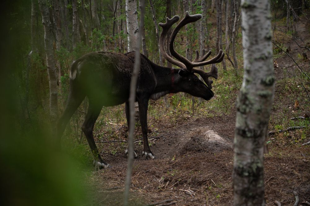 Photograph by Виктория
