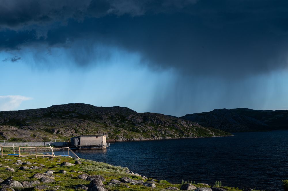 Photograph by Виктория