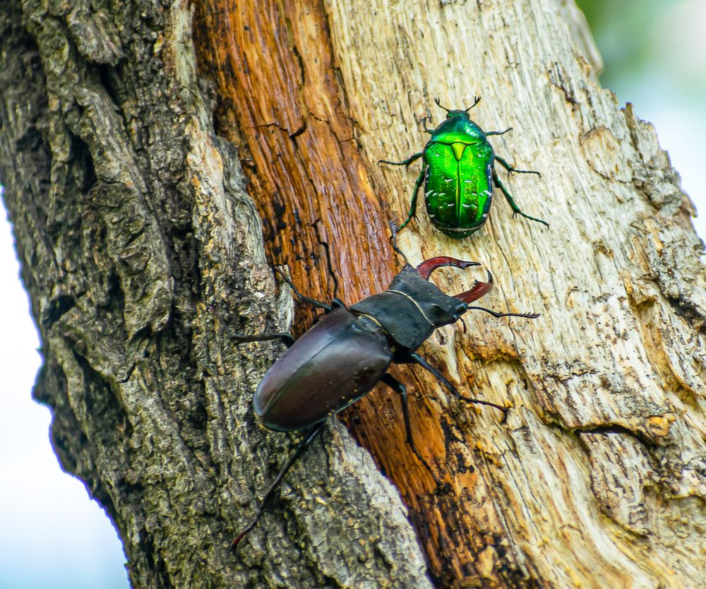 Фотография автора Савельев Алексей