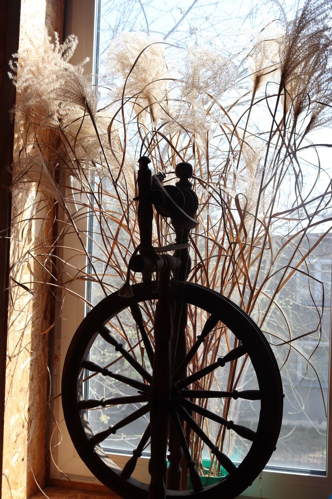 Фотография автора Анастасия Богдан