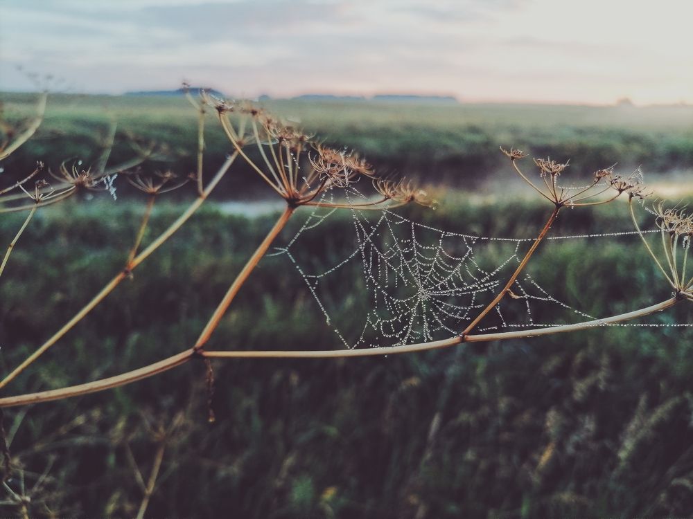 Photograph by Наталья Веряскина