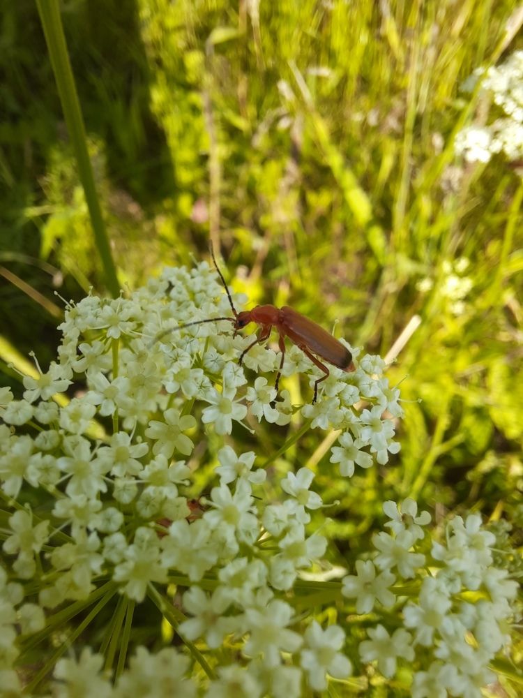 Photograph by Ольга