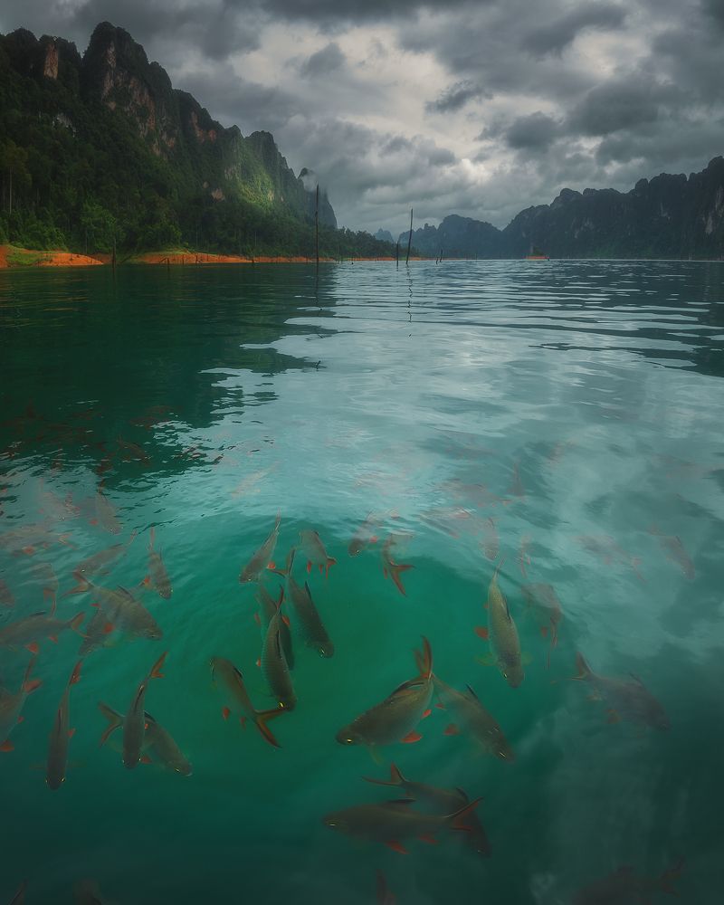 Photograph by Oleg Feofanov