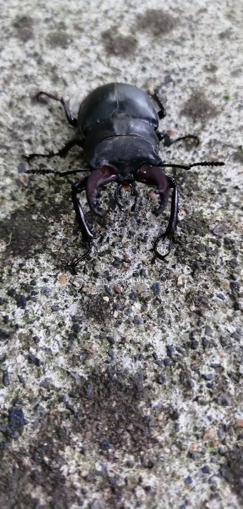 Photograph by Мила Мит