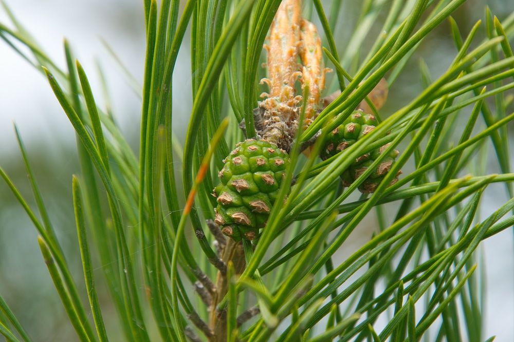 Photograph by Василий Быстрицкий