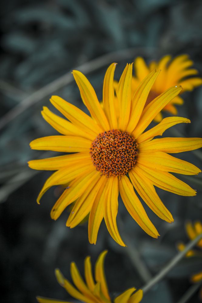 Photograph by Сергей Баранов