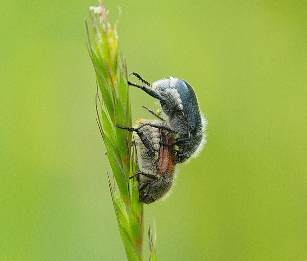 Photograph by Василий Быстрицкий