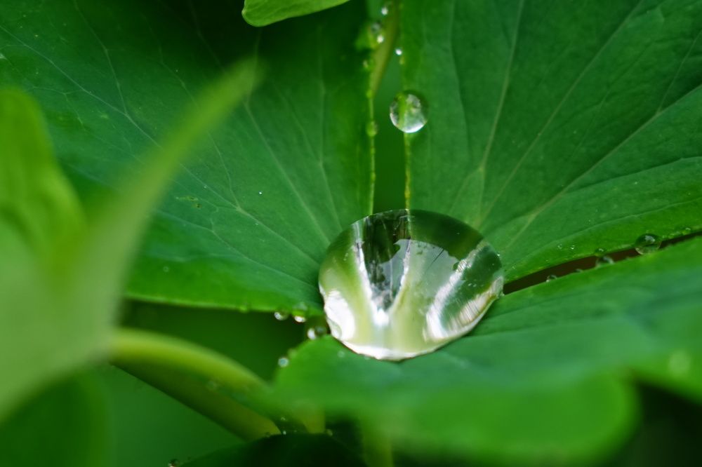 Photograph by Александр Кизим