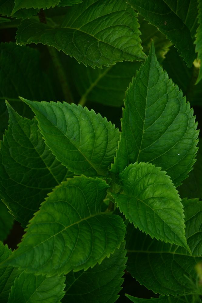 Photograph by Анна Бутко