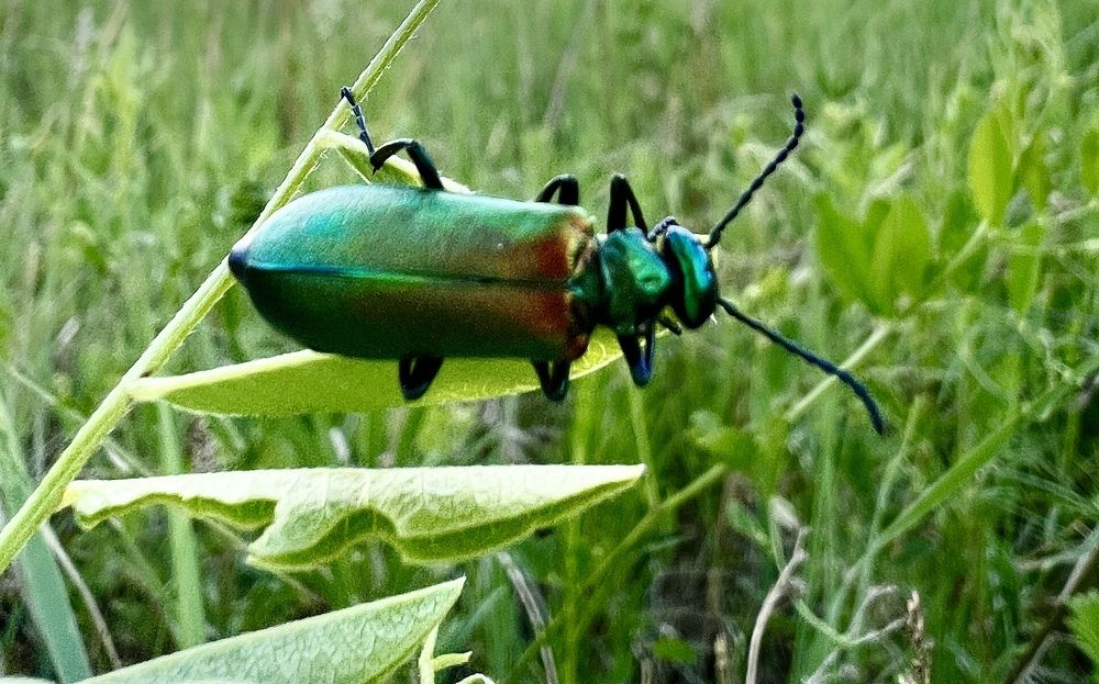 Photograph by Елена Мизина