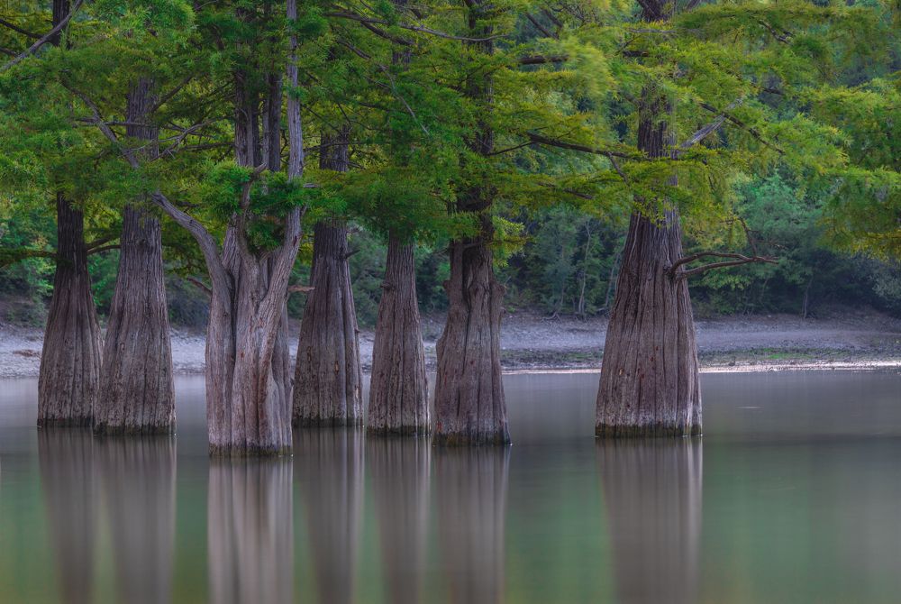 Photograph by Diana Karp