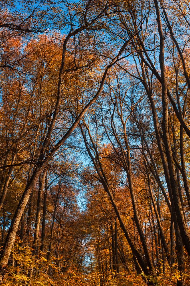 Photograph by Ольга