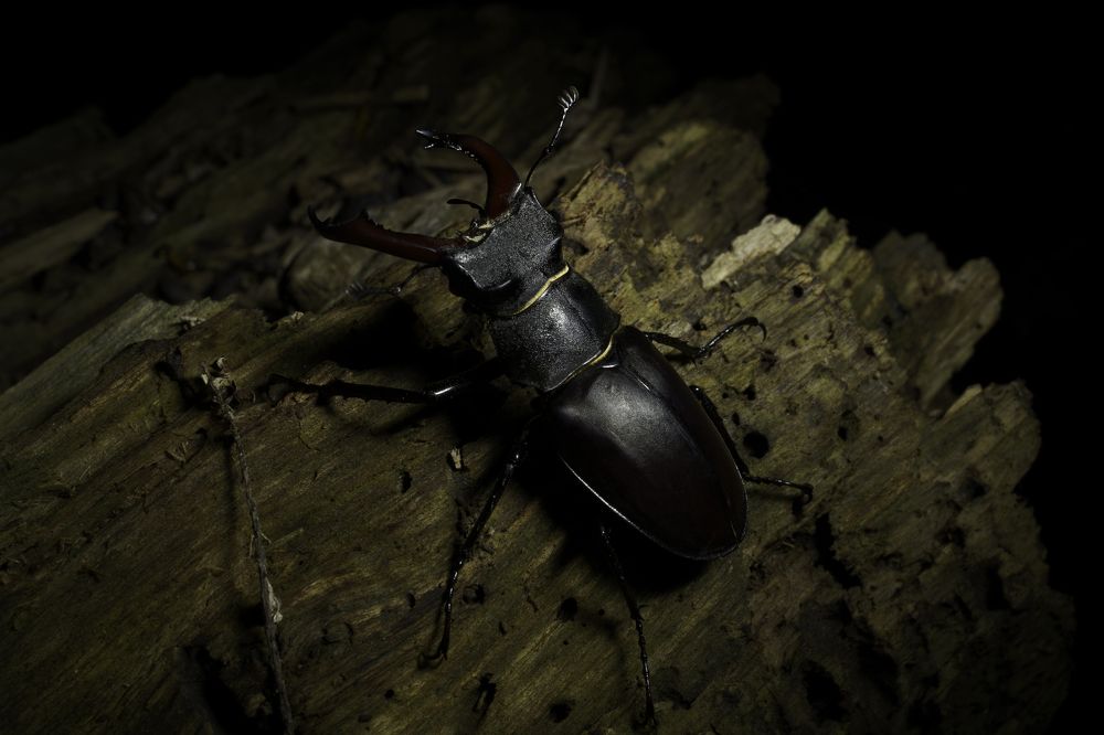 Photograph by Александр Поданев