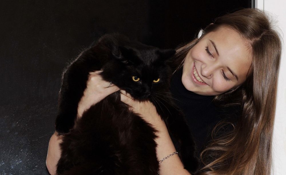 Это мой КОТ - серьезный парень.