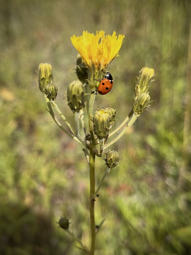 Photograph by Бравичева Анастасия