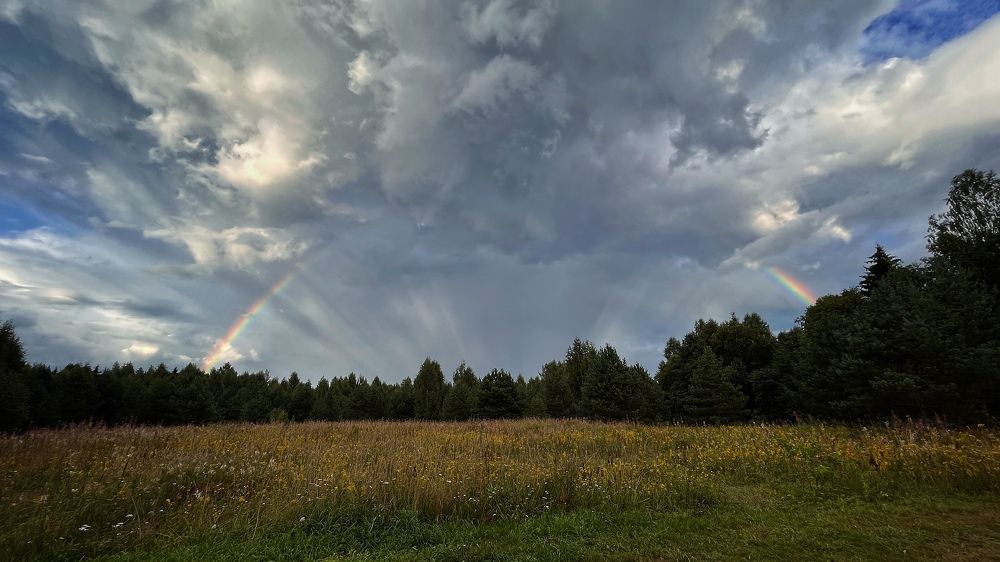 Photograph by Бравичева Анастасия