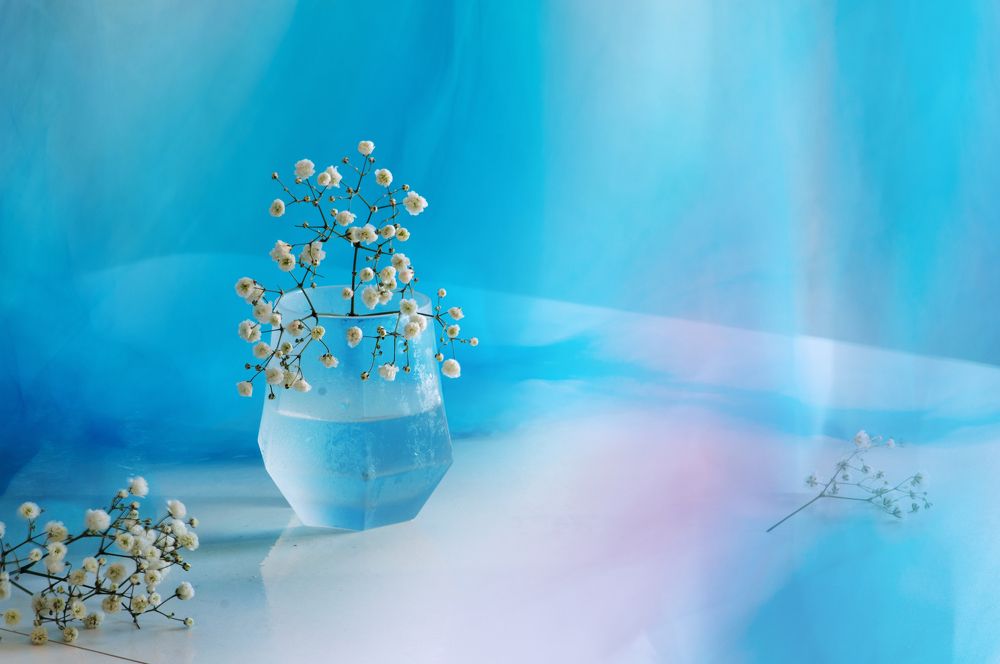 Photograph by Анастасия