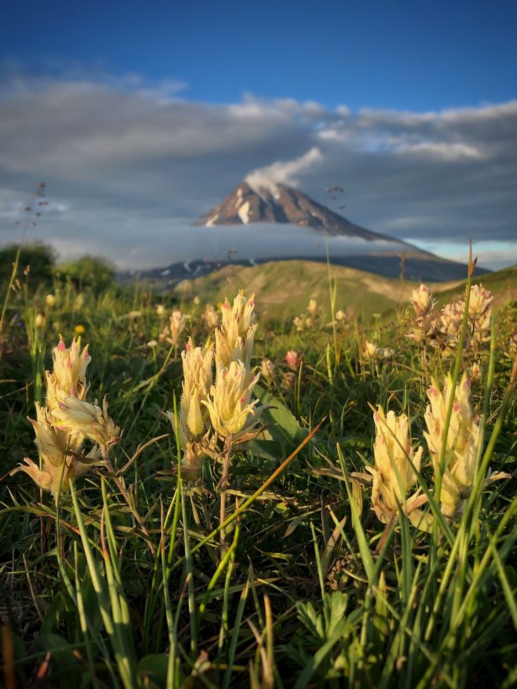 Photograph by Бравичева Анастасия