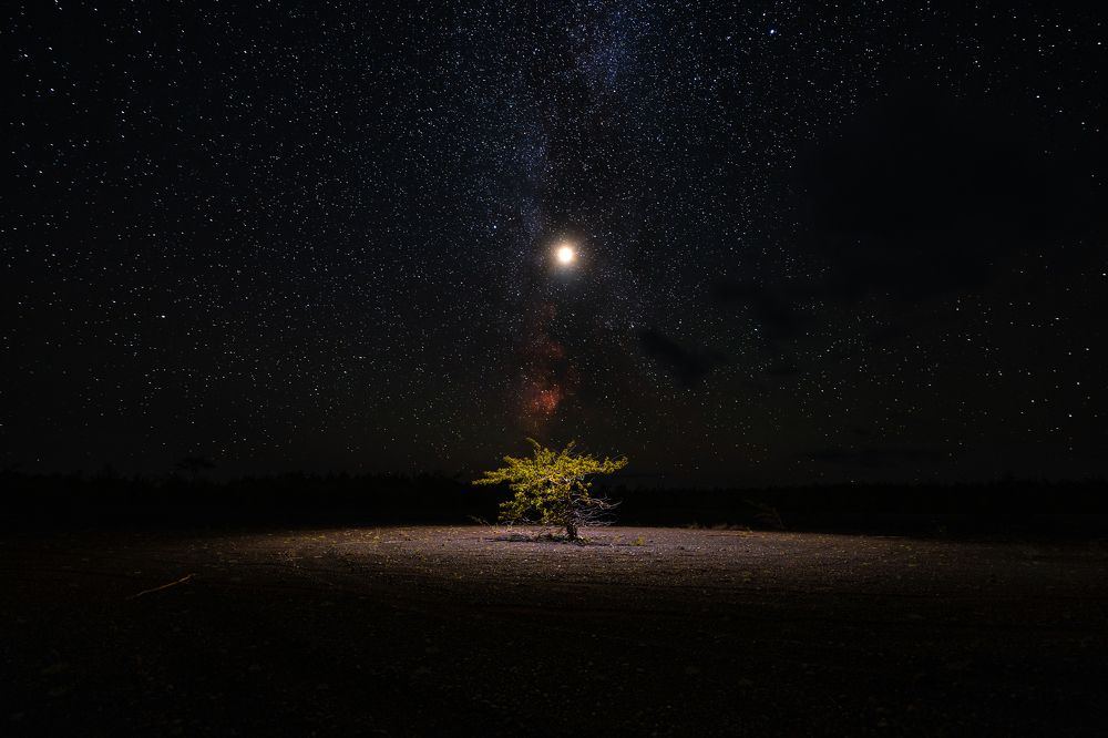 Photograph by Антон Сандалов