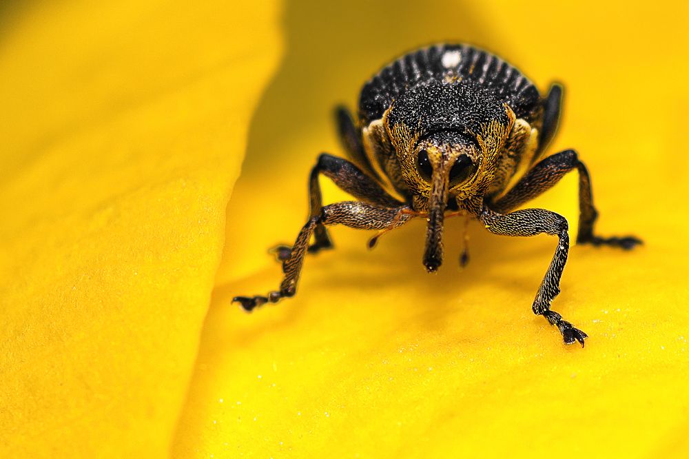 Photograph by Виктор Степанов