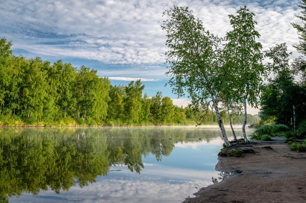 Фотография автора Андрей Васильев