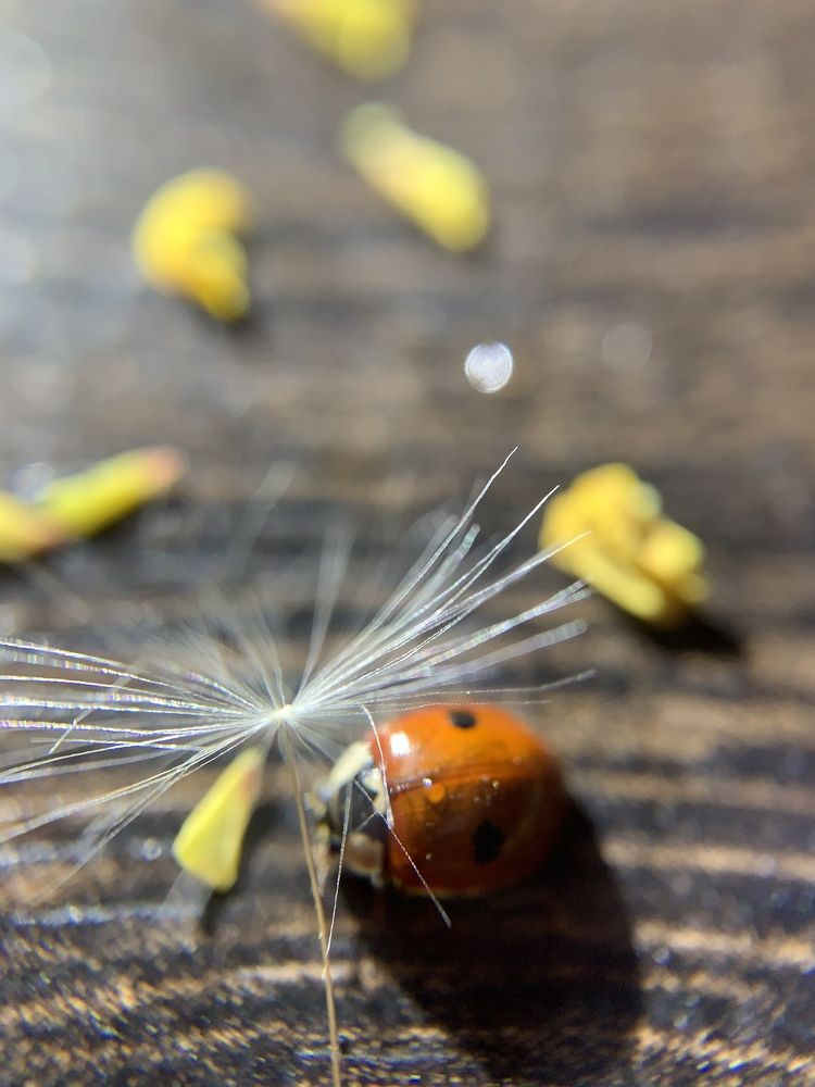 Photograph by Евгения