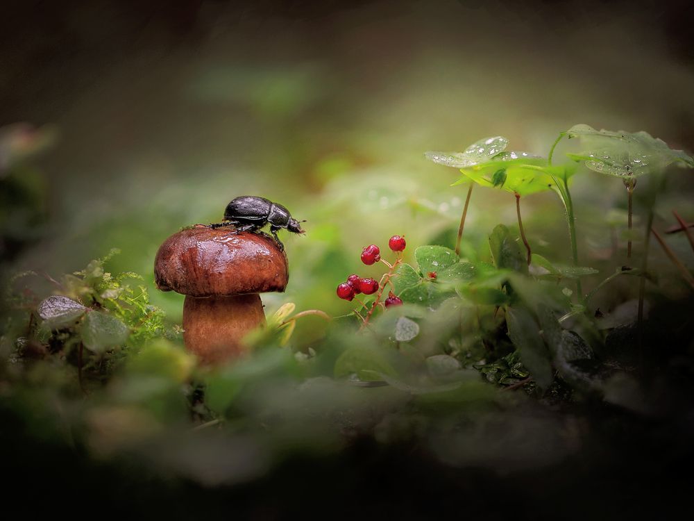 Photograph by Роман Филиповец